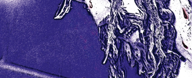 Semana Santa 2018 - Web