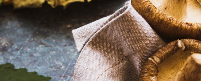 Terceras jornadas gastronómicas “Micológicas” en Carrión de los Condes