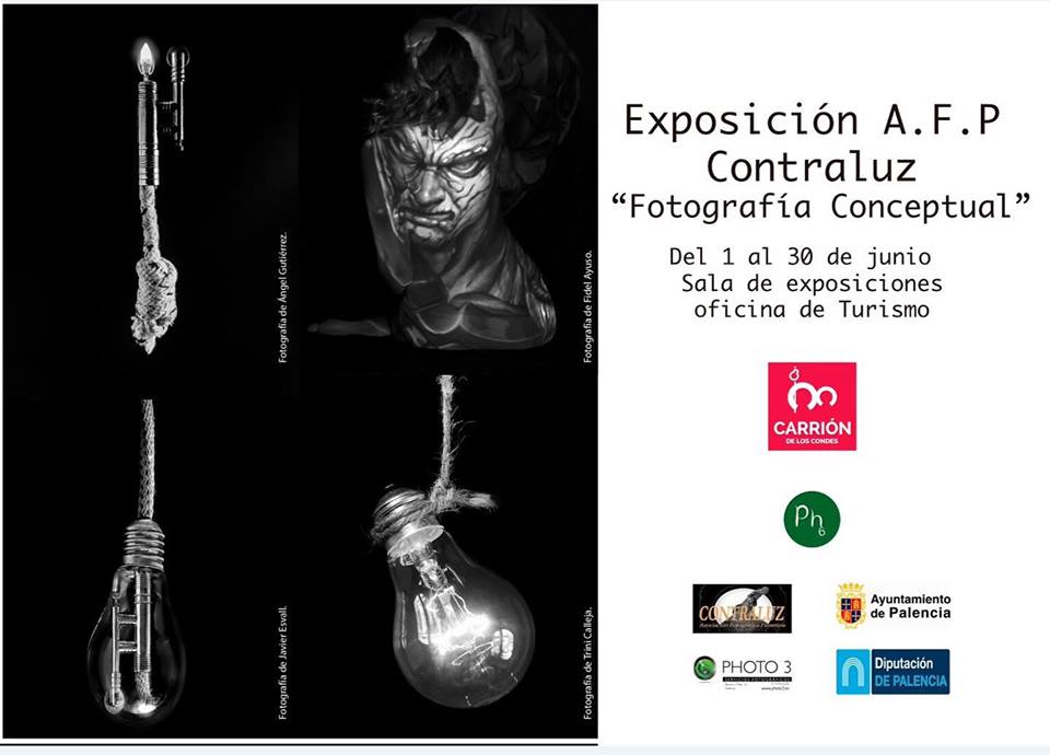 Exposición Junio Museo Arte Contemporáneo