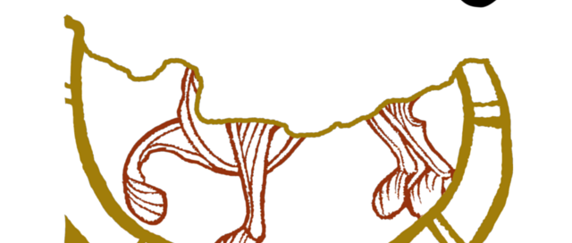 Las Edades del Hombre llegarán a Carrión de los Condes