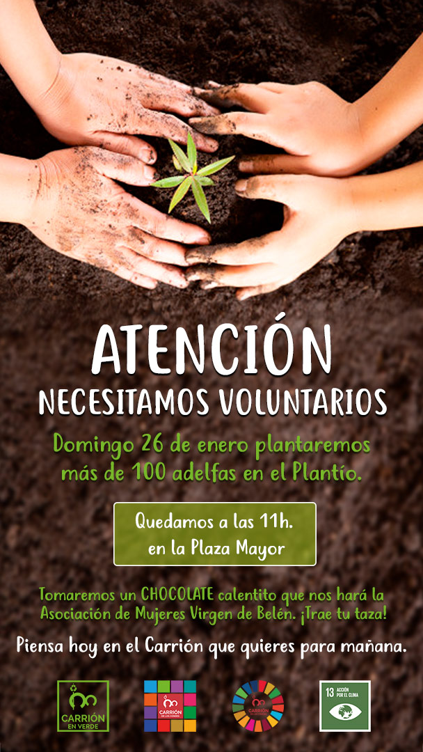 VOLUNTARIOS PARA PLANTAR ADELFAS