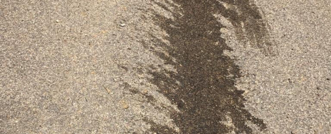 Mal olor en ciertas calles de Carrión por basura.