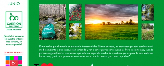 Día Mundial del Medio Ambiente contado por nuestros jóvenes