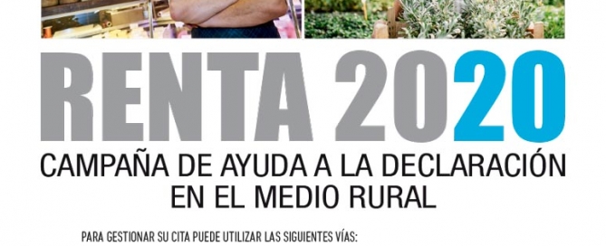 Campaña Renta 2020.