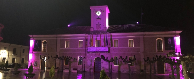 Día Internacional de la Eliminación de la Violencia contra la Mujer