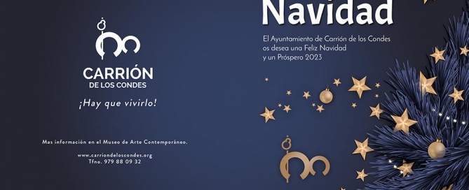 Programa Navidad 2022