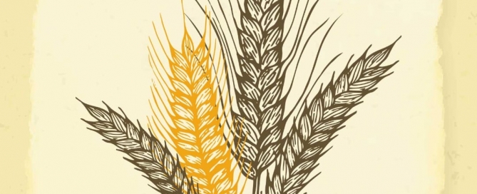 PRESENTACIÓN LIBRO - ULPIANA