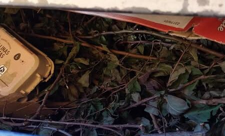 Uso correcto de contenedores de reciclaje