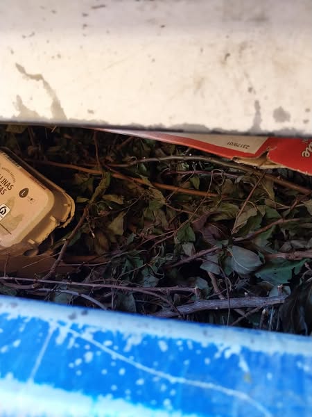 Uso correcto de contenedores de reciclaje