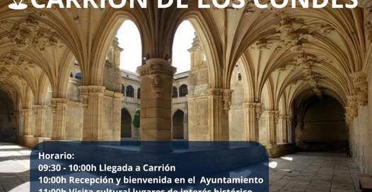 voluntarios activos de Cruz Roja de la provincia de Palencia.