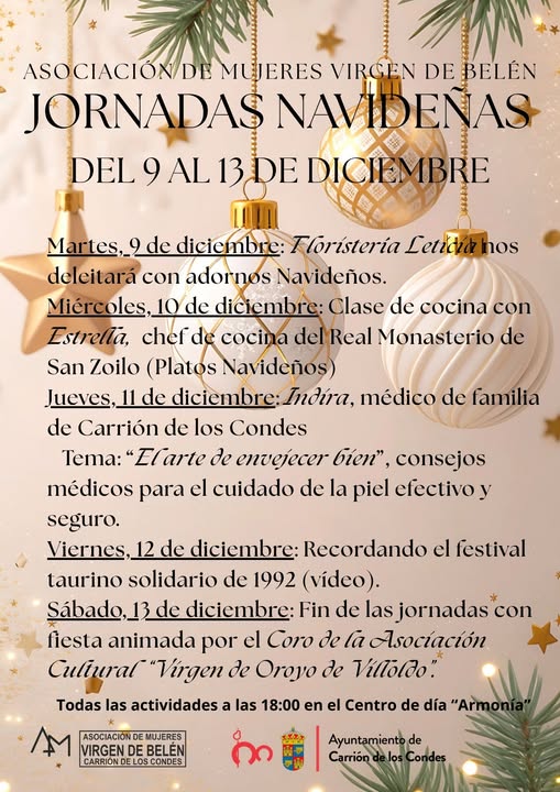 JORNADAS NAVIDEÑAS
